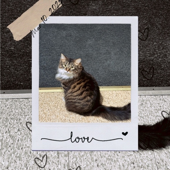 Meet your Posher, Sally - Picture 7 of 11